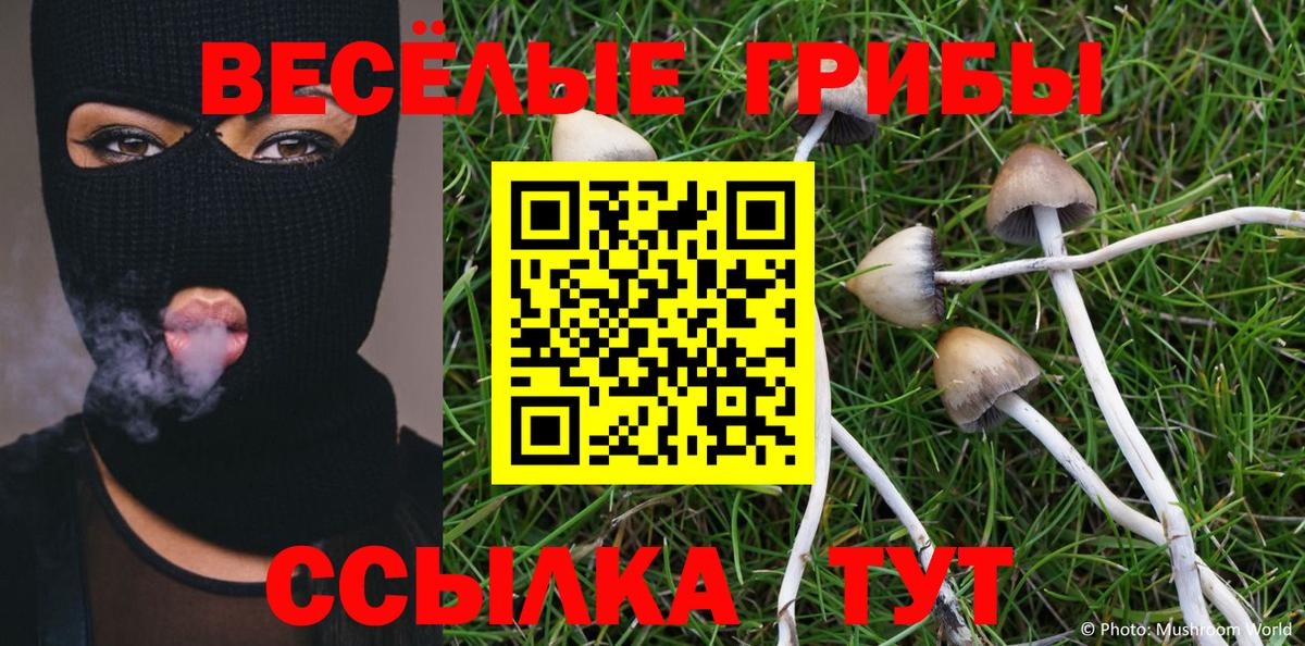 Галлюциногенные грибы Psilocybe  Вход с VPN  Чусовой  Псилоцибиновые грибы мухоморы 